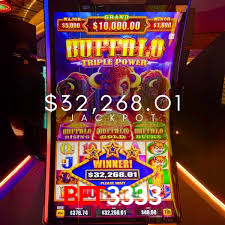 Dealers profissionais da bet3333